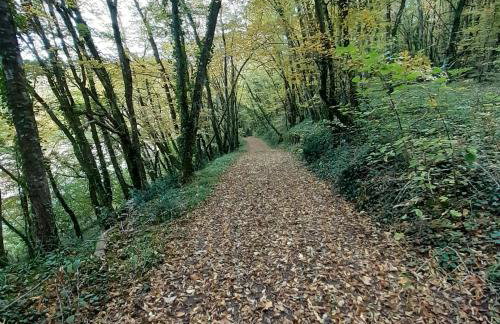 Le Manoir de Carlucet Gite - Foto 38