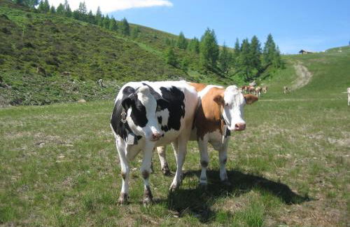 Casa Caterina - Foto 21