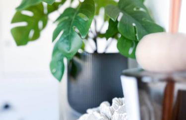 M&K Apartamenty Przystań Świbno - Photo 38