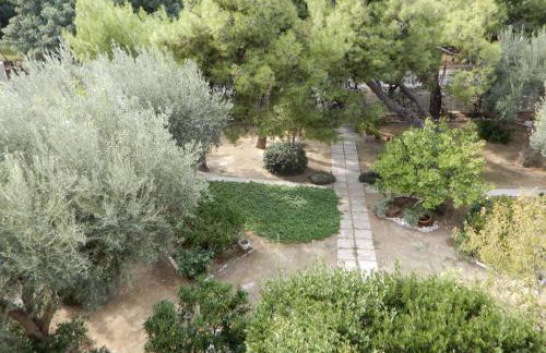 Comfortable garden Apt near Vouliagmeni beach - Photo 18