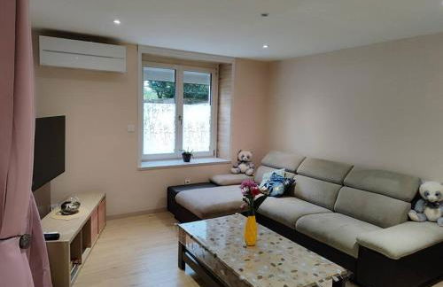 Maison Au Pays des Etangs - Foto 11