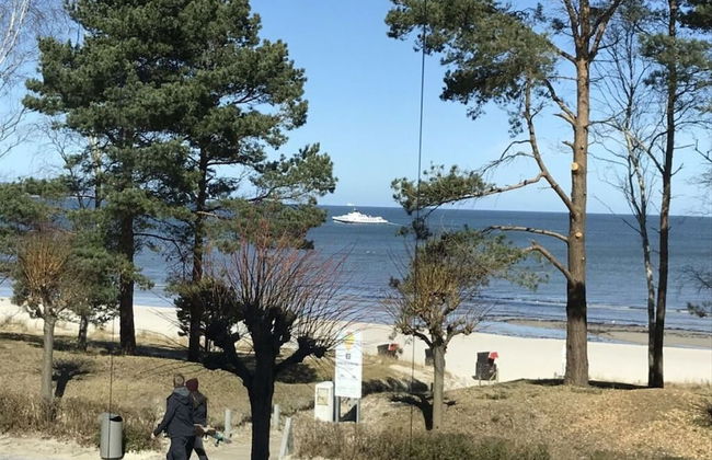 Villa Vogue, Austernfischer - Photo 22