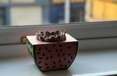 Taylor Close - Spacious Central Ferry Flat - Photo 33