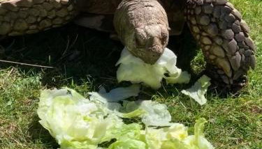 Silverspring Hideaways - Foto 4