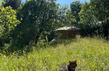 La Parenthèse - Spa et billard - Se ressourcer entre ville et forêt - Foto 10