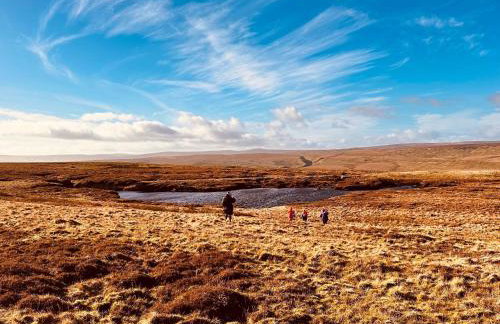 Galboly Cottage - Photo 45