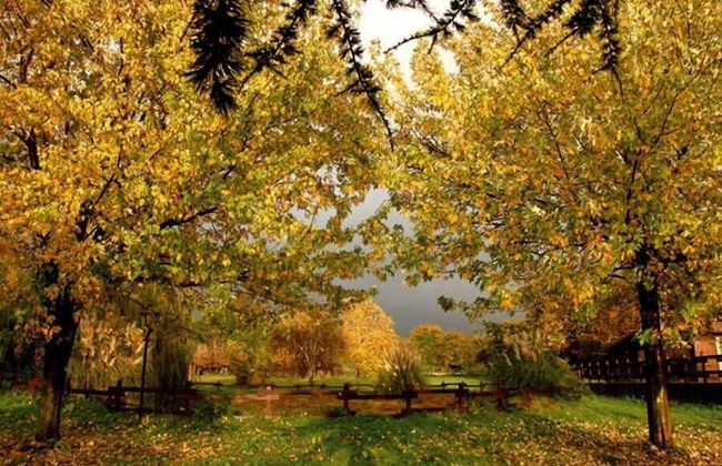 Agriturismo Monte Due Torri - Foto 74