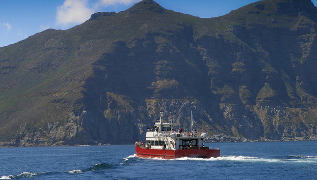 Tour de um dia na península do Cabo - Foto 4