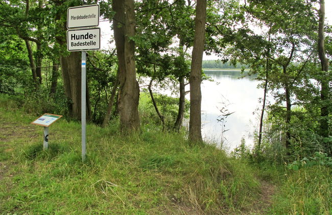 Güstrower Chaussee - Foto 17