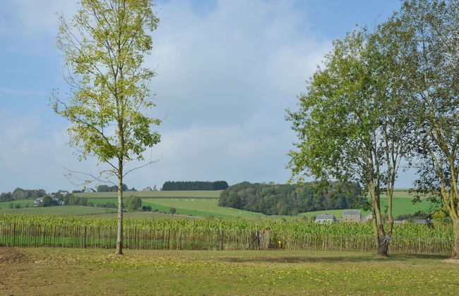 Holiday Home in Somme-leuze With Pool & Sauna - Foto 22