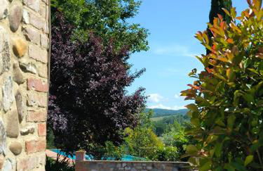 La casina nella fattoria - Foto 6