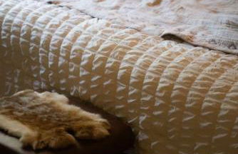 Modern 2 BD cabin with hot tub & Games & Central Loc - Foto 10