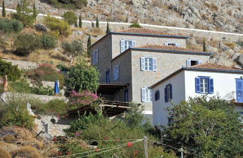 Hydra Erato - Foto 17