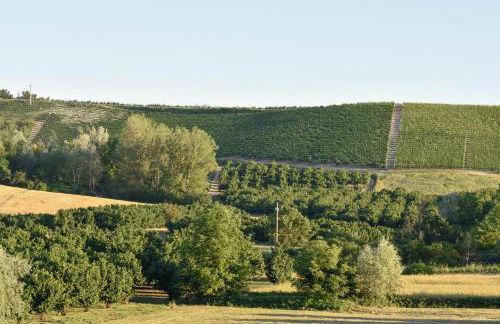 Casa Emy da Teresina - Photo 16