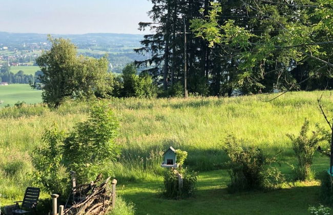 Apartment in the Waxenegg Country House - Photo 23