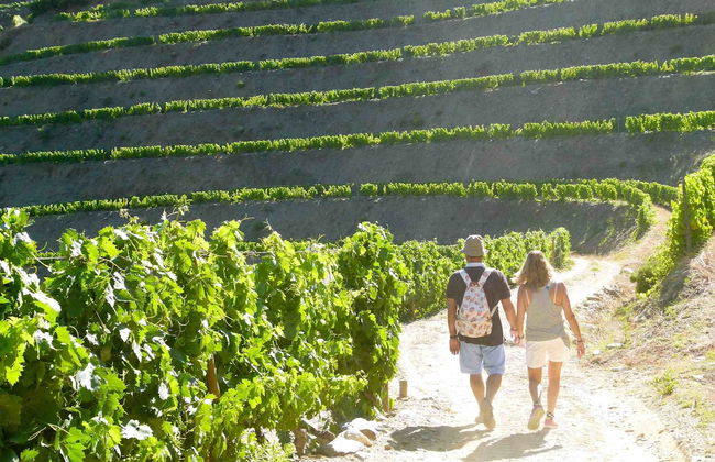 Quinta de la Rosa - Foto 35