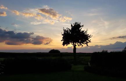 Ferienwohnung "Am Grün" - Photo 8