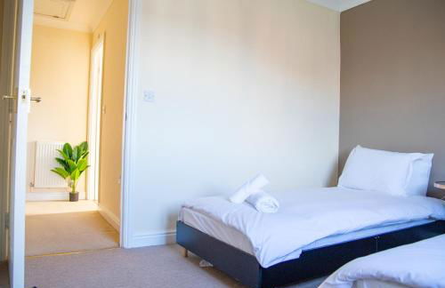 4x Bed Elegant Home with Parking - Photo 35