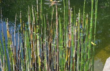 Apartment Green Elephant - Foto 29