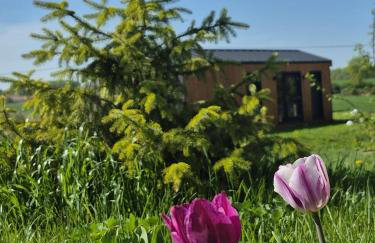 Cichy Brzeg Mazurski - Foto 24