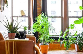 Jungle House Luxury Homes - Columbus Downtown Short North - Walk to Convention Center & Nationwide Arena - Sleeps up to 10 - Free Parking - Over 5,800 Five Stars - Foto 1