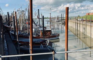 Ferienwohnung mit Seeblick - Foto 24