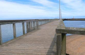The Rockpool - private hot tub and sea views - Photo 31