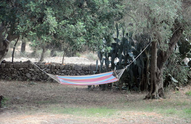 Agroturismo Son Siurana - Photo 58