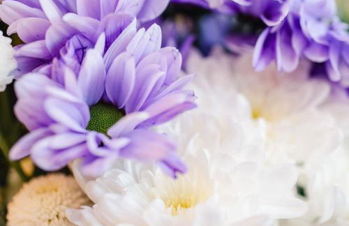 Holiday Home Cooriedoon by Interhome - Photo 39