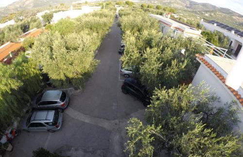 Residence Adriatico - Foto 57