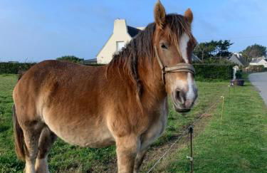 Ty Marie Neiz Vran - Villa luxe vue mer, 80 mètres de la plage - Photo 23