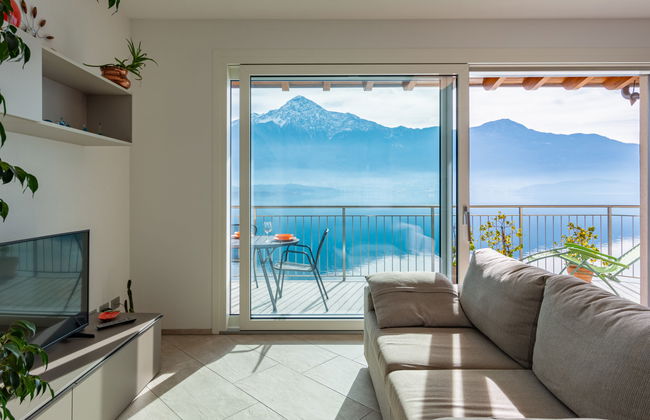 Ciclamino (GLA127) - Foto 6