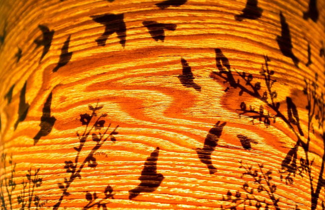 The Five Turrets: Stay in Scotland in Style in a Historic Four-bed Holiday Home - Foto 61