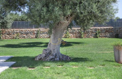 TD Villa Patrizia Pool & Alfresco Kitchen - Foto 29