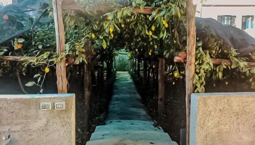 Limoneto di Anna - Foto 2