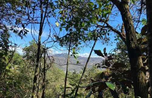 Cabana Floresta Amada - Photo 18