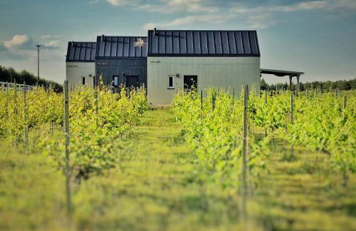 DomkiTomki, Winnica Sindaco - Foto 3