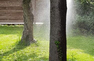 La Limonaia - Foto 26