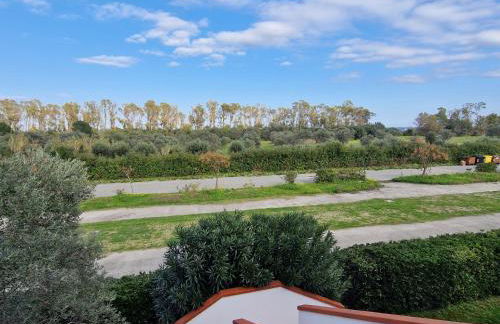 Nina's house ulivo sul mare a 300 mt dal mare - Photo 12