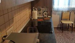 Finca las Palmeras - Foto 5