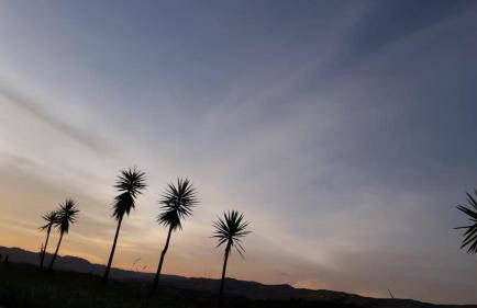 Sítio Santa Terezinha Canastra - Foto 15