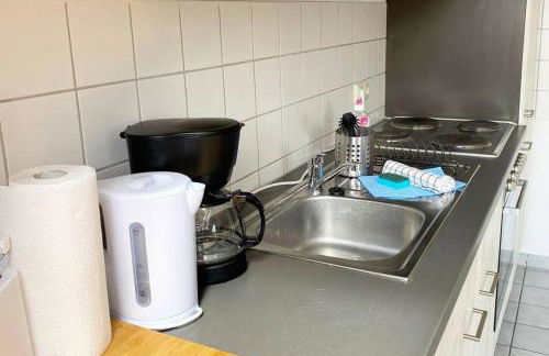 Apartment mit Dachterrasse nahe Zwickau - Foto 8