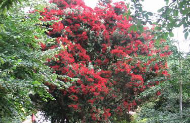 Valle Paraizo - Foto 68