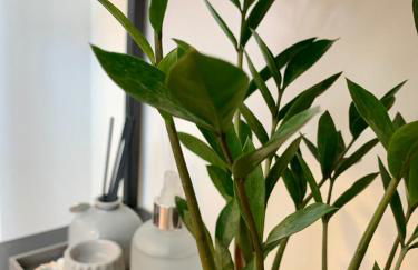 Flat Apart America Campos - Photo 6