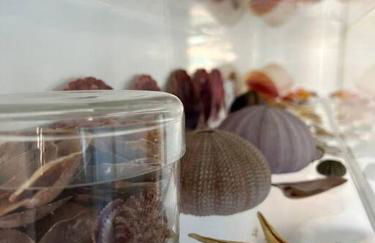 T3 beach front in São João da Caparica - Foto 41