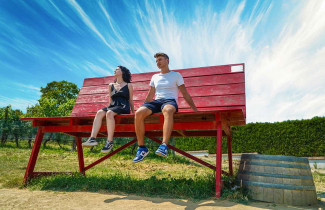 Tour en vespa por la región vinícola de Barolo - Foto 4