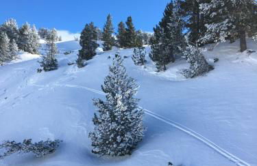 Espacioso ap en Gessa - Foto 18