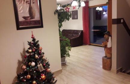 Domki Pod Magurą - Foto 28