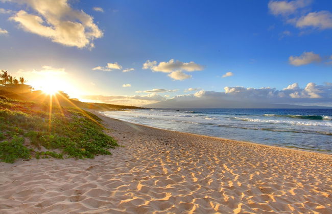 Island Sands 210 - Foto 66