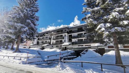 La Finestra sul Brenta con POSTO AUTO PRIVATO AL CENTRO di MAD di Campiglio CIPAT O22233-AT-O13262 - Foto 2